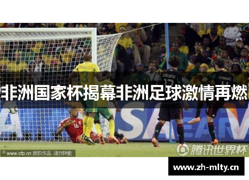 非洲国家杯揭幕非洲足球激情再燃