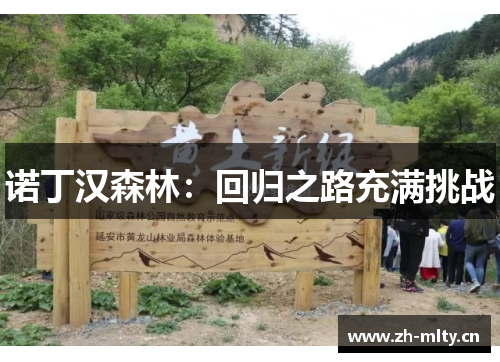 诺丁汉森林：回归之路充满挑战