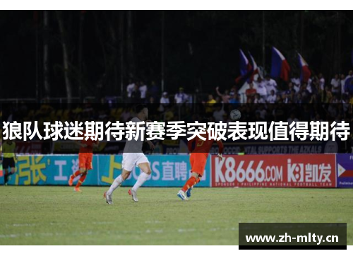 狼队球迷期待新赛季突破表现值得期待