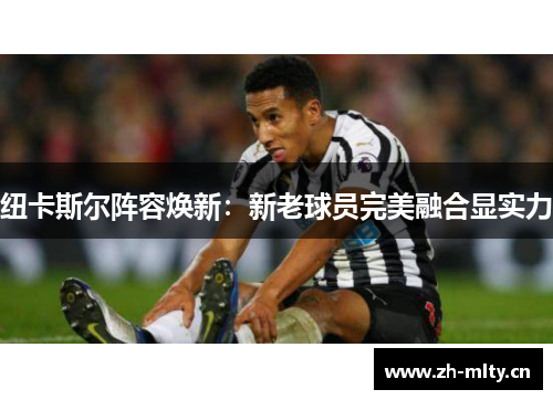 纽卡斯尔阵容焕新：新老球员完美融合显实力